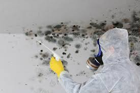 Best Comprehensive Air Testing for Mold Contaminants  in Milford City, CT